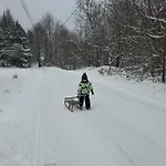 Dom Na Padole *