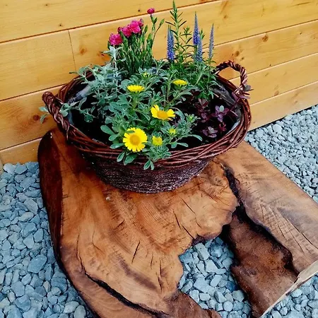 Holiday home Dom Na Padole Tylmanowa