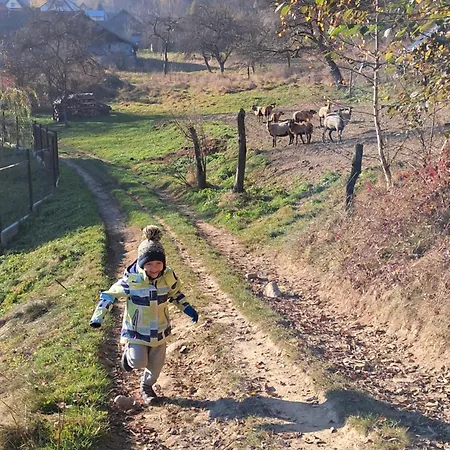 Dom Na Padole Prázdninový dům *