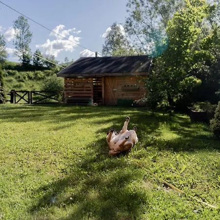 Feriehus Dom Na Padole