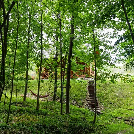 Feriehus Dom Na Padole Tylmanowa